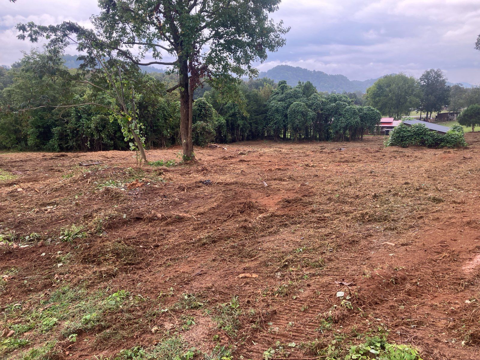 A cleared dirt field with a tree and bushes against a backdrop of green hills and overcast sky.