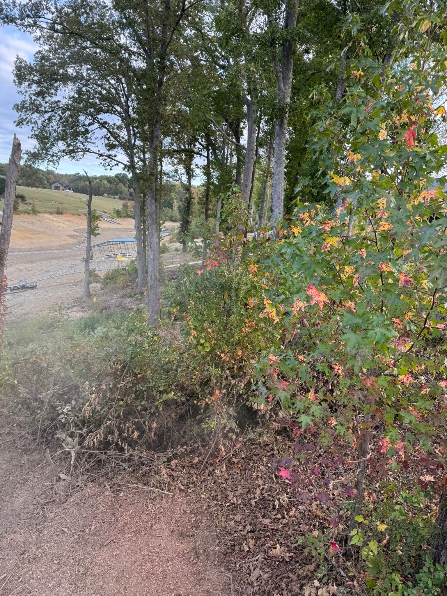 A path leads toward a fence, with trees and colorful bushes on the right. An open field is beyond the fence.