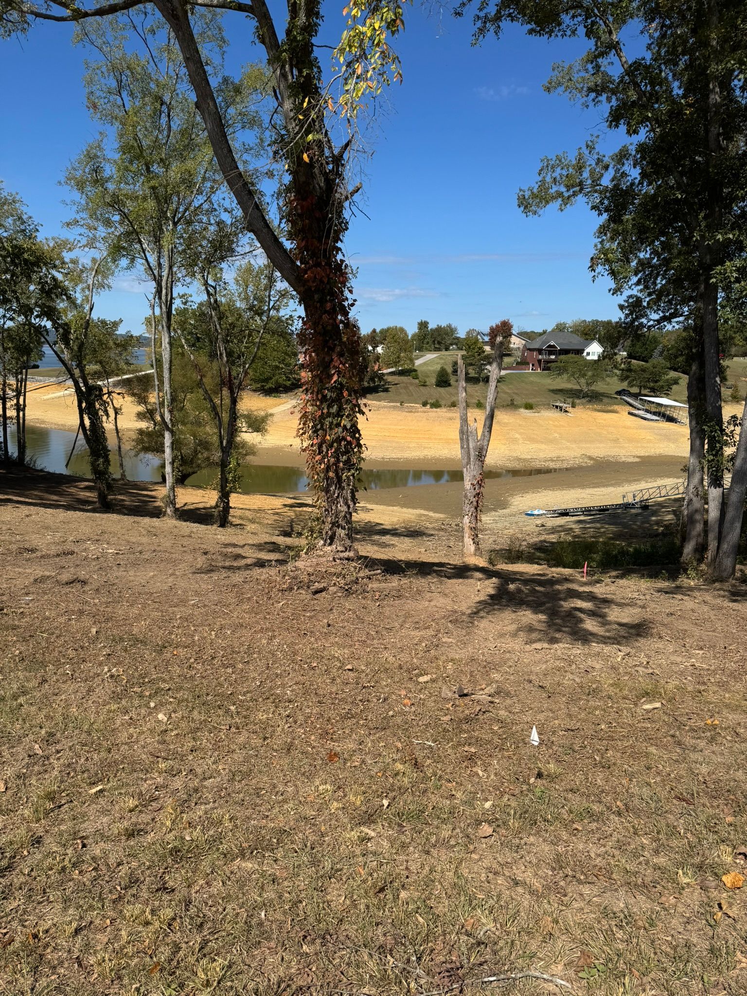 Trees frame a view of a dry lakebed with buildings in the distance under a blue sky.