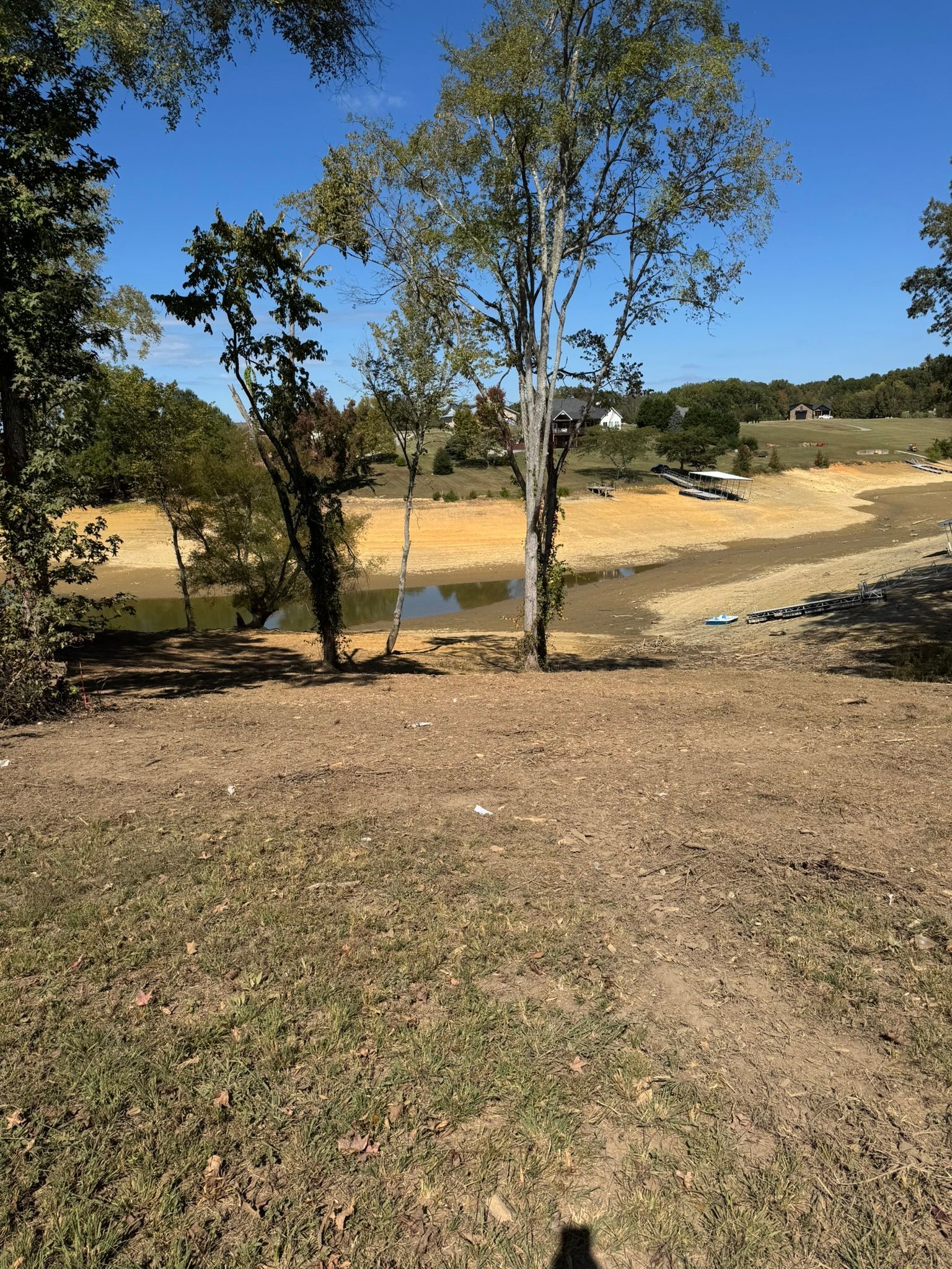 Trees frame a view of a receding lake, revealing muddy shore; clear blue sky above.