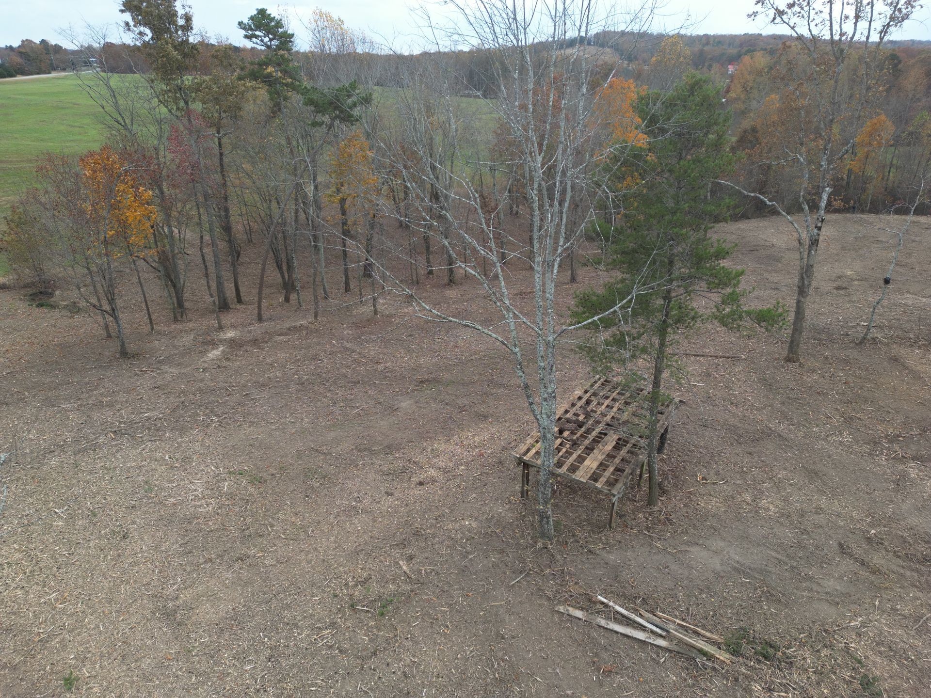 A wooden hunting blind sits beneath trees in a fall field.