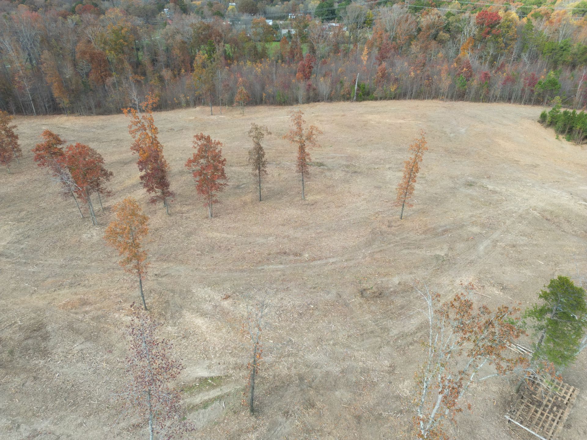 An aerial view of a harvested field and trees with autumn foliage.