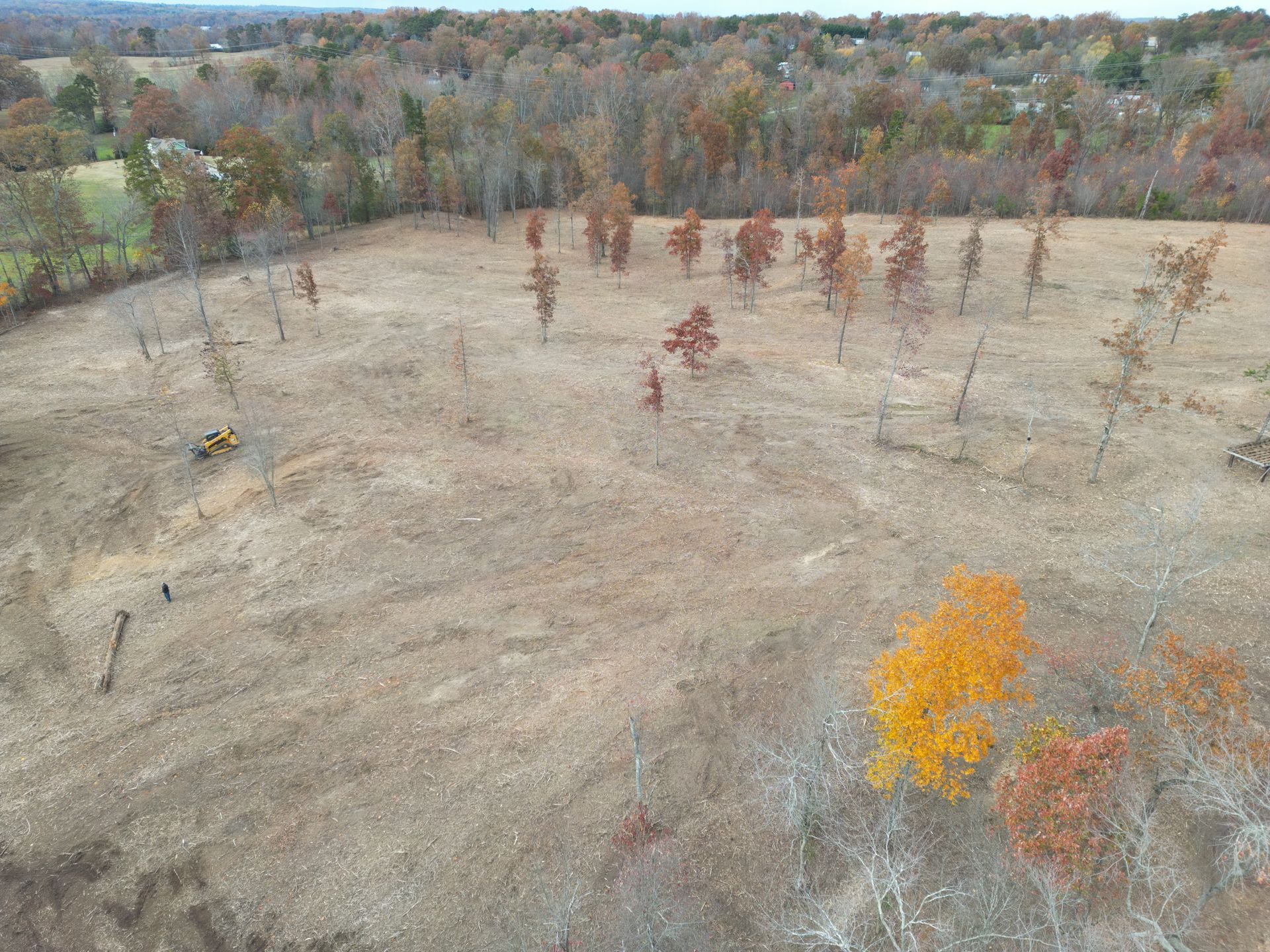 An aerial view of a field with scattered young trees, brown grass, and trees with autumn leaves.