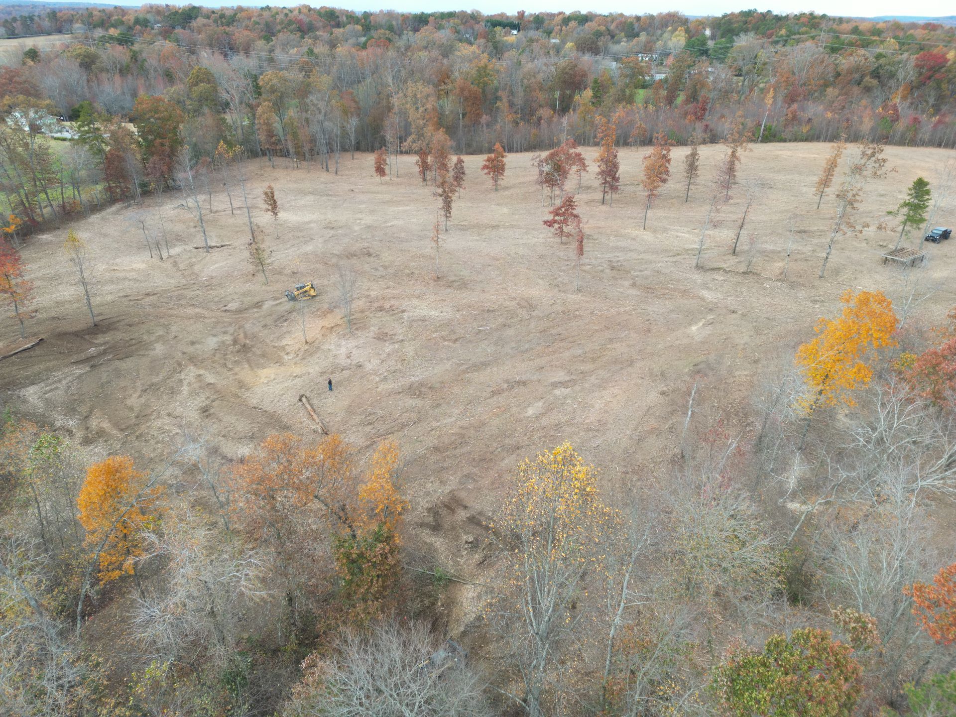 Cleared field with scattered trees in autumn colors, surrounded by wooded area.