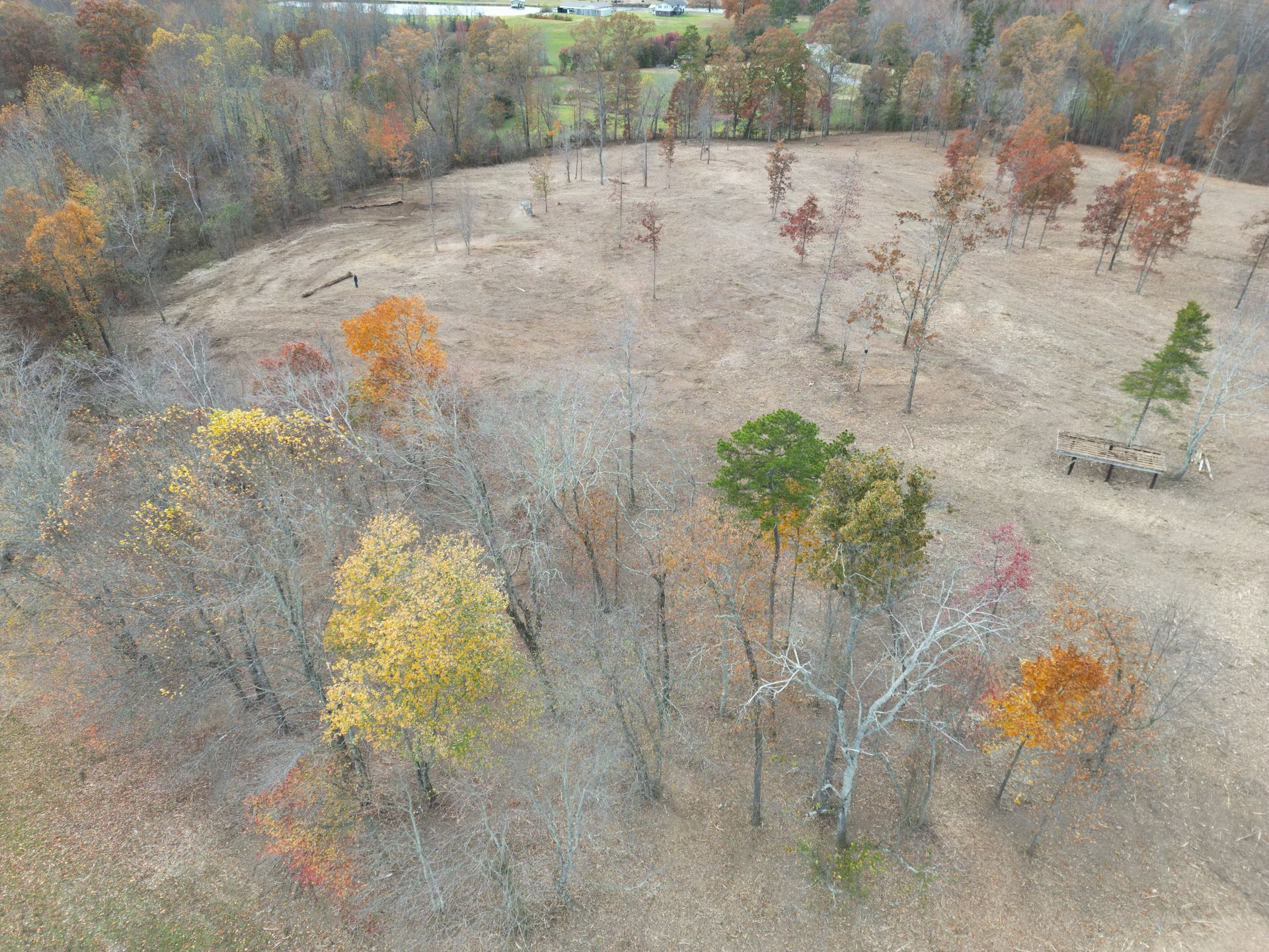 Autumn trees with colorful leaves dot a brown field.