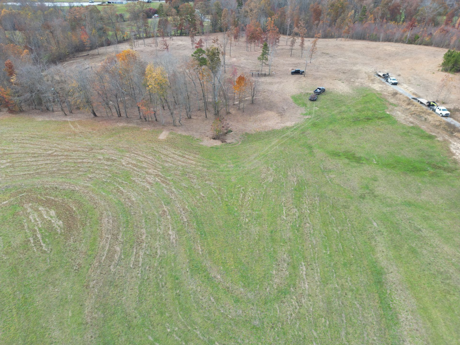 Aerial view of a field and small cluster of trees. Several vehicles are parked on the side.