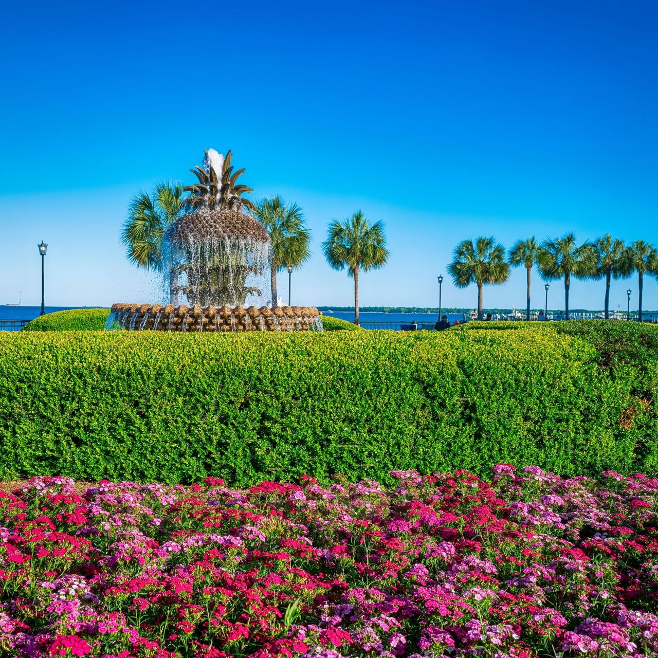 Fountain in a lush garden with pink flowers, green hedges, and palm trees, Charleston, SC, USA, blue sky.