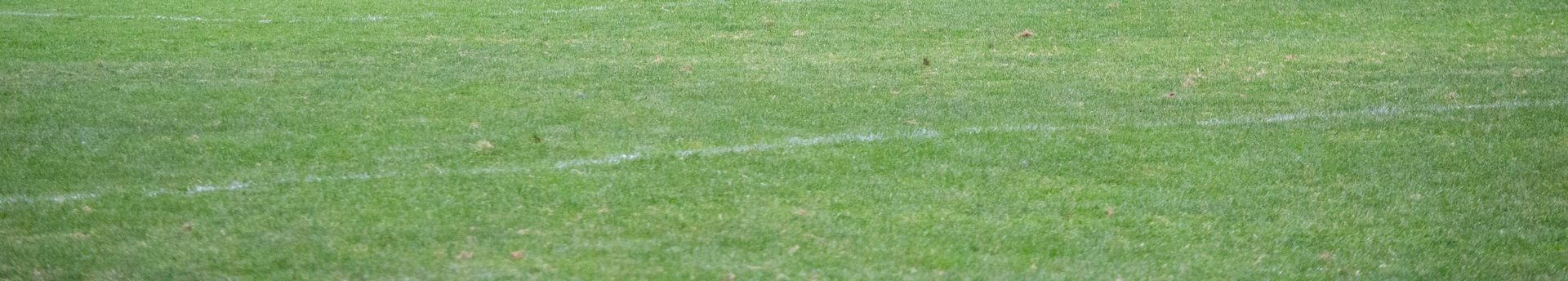 Green grass for a soccer field.