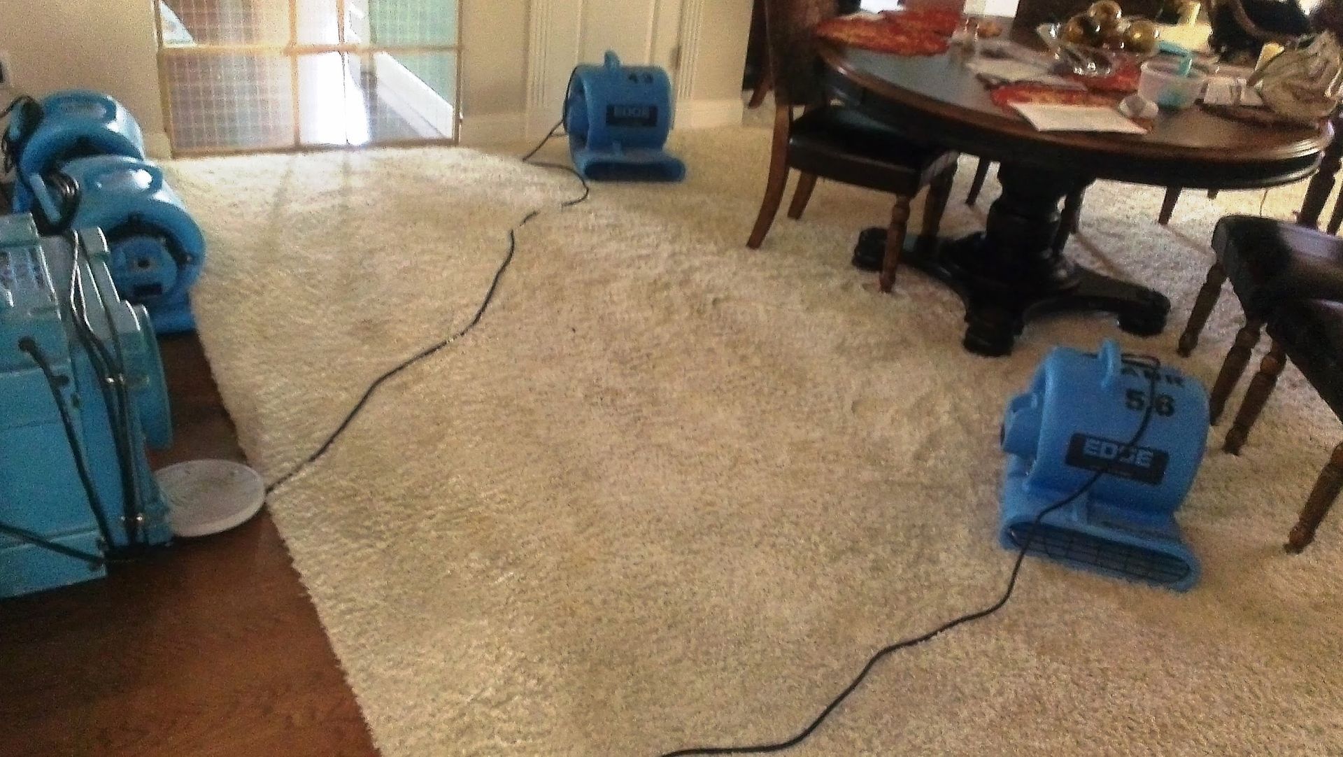 Blue air movers drying light carpet in a living room.