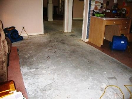 Bare concrete floor after carpet removal; evidence of water damage. Blue air movers. Interior shot.