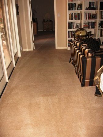 Brown carpeted interior with a striped couch and bookshelf in view.