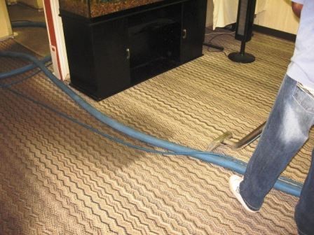Person cleaning carpet with a vacuum hose. The carpet has a light brown pattern. A black cabinet is in the background.