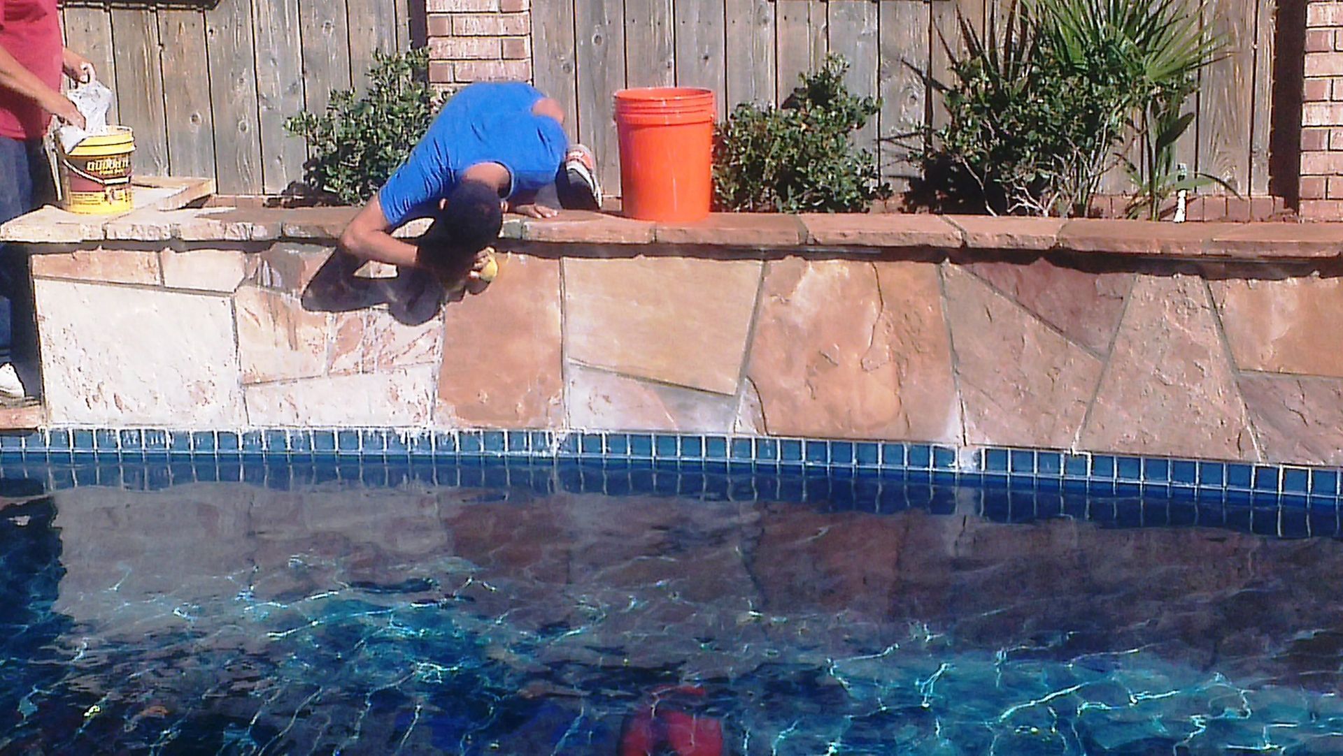 Man leaning over pool wall, working; orange bucket, blue tiles, green plants, wood fence.