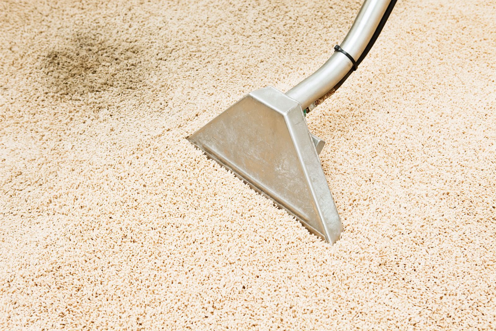 Carpet being cleaned with a steam cleaner, removing a dark stain.