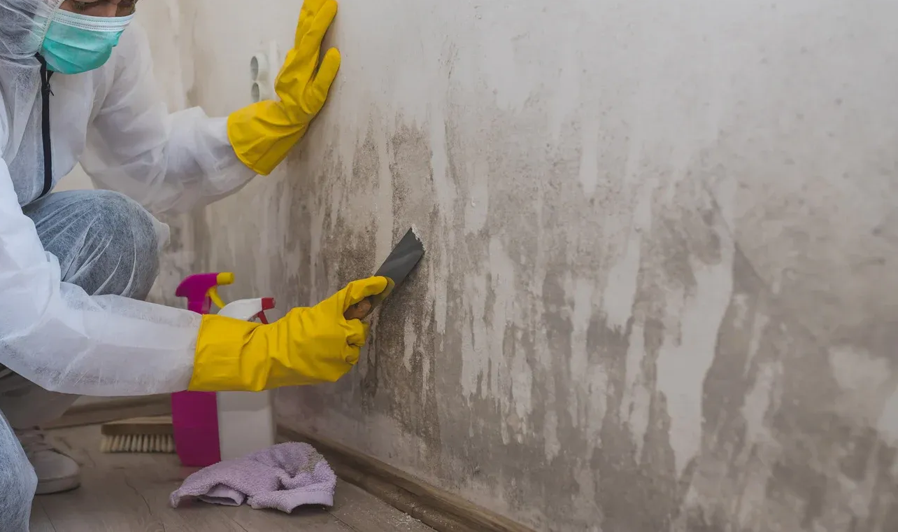 Person in hazmat suit removing mold from a wall with a scraper, yellow gloves, and spray bottle.