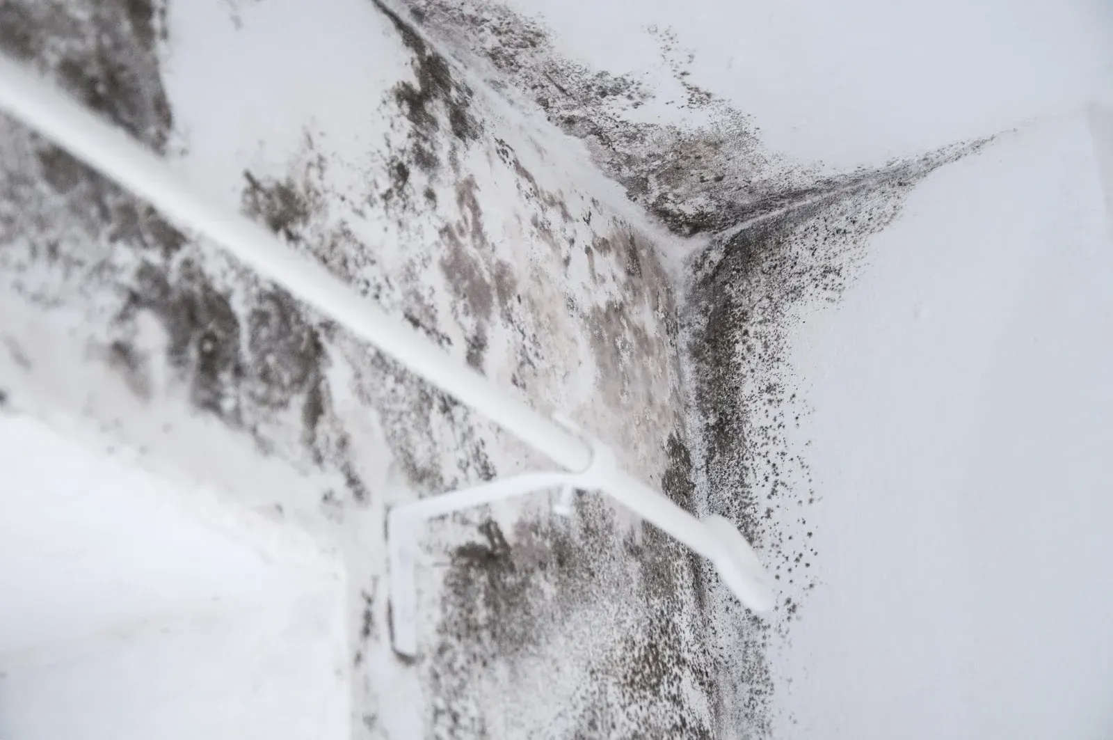 Black mold growth on a white wall, near the ceiling, with a white pole across the view.