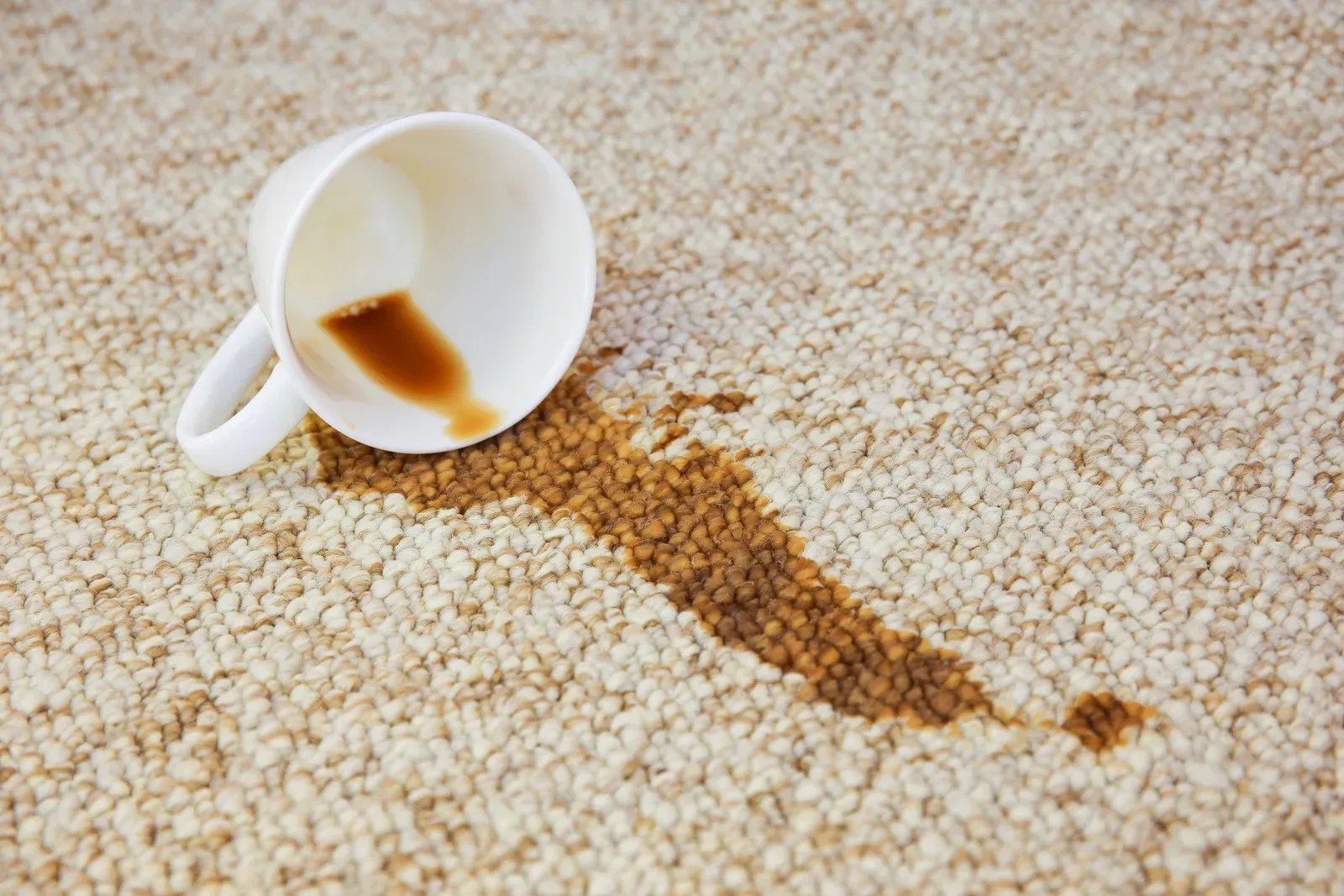 Spilled coffee from a white mug on a beige carpet; brown stain.