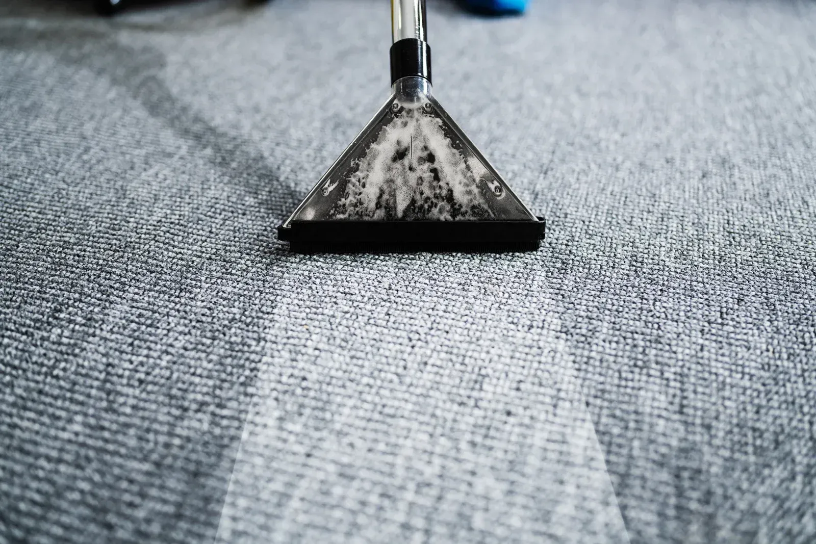Carpet being cleaned with a steam cleaner, revealing a clean path on gray carpet.