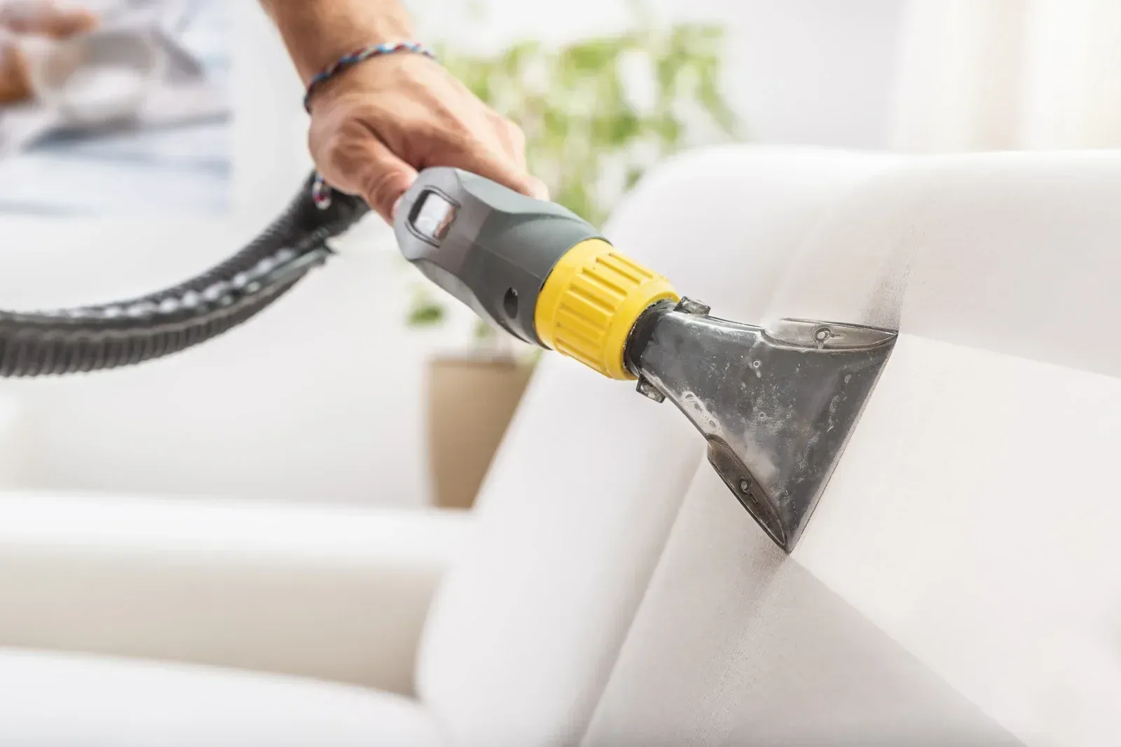 Hand using upholstery cleaner on white sofa.