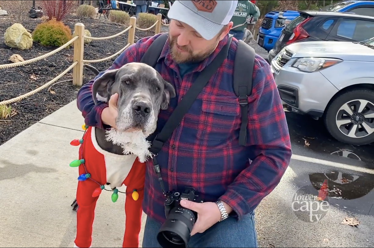 Furry Friends Welcome An Annual Midwinter Visitor To Brewster Dog Park