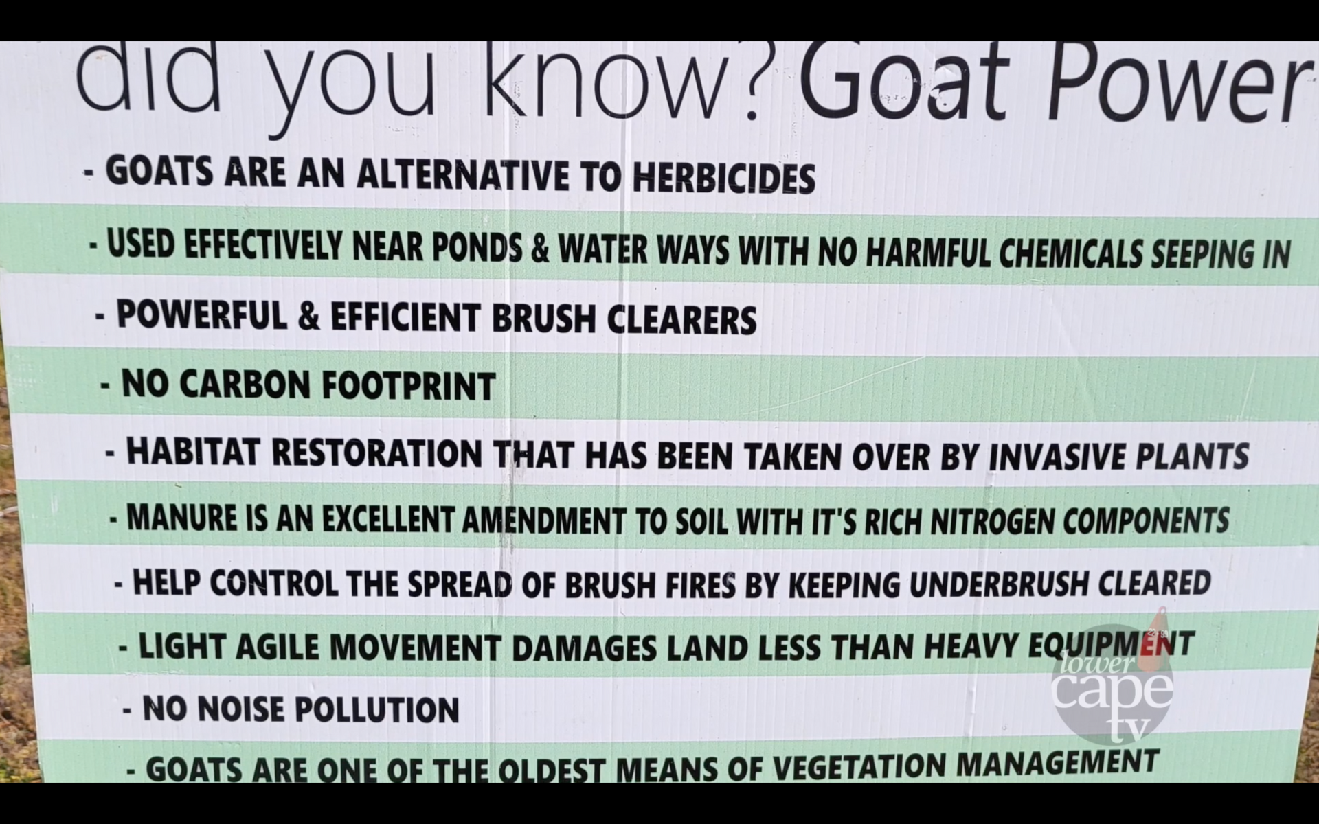 Why Goats are used for brush clearing