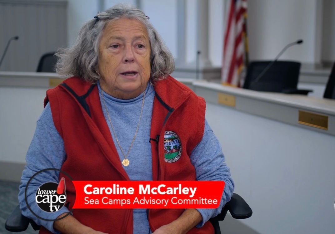 Carolin McCarley, Brewster Sea Camps Advisory Committee