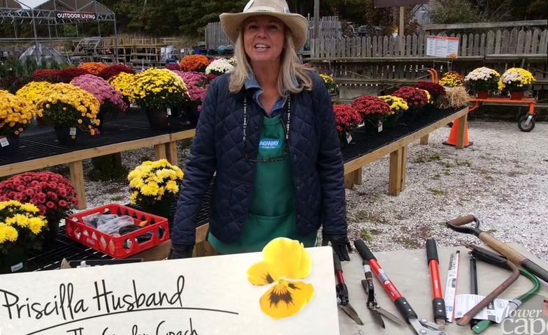 Priscilla Husband, garden coach