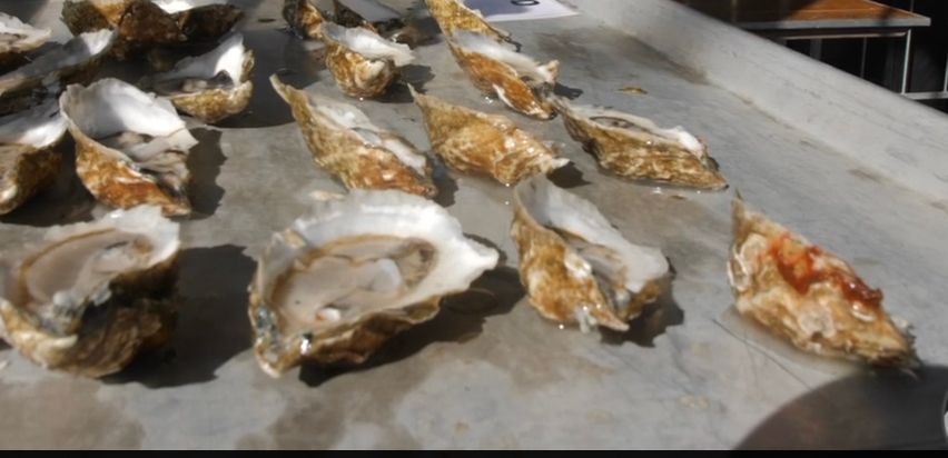 oyster raw bar