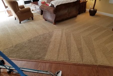 Cleaning Blue Carpet Using Disk Machine – Carpet Cleaning in New Port Richey, FL