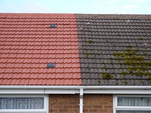 Roof cleaning in Farnham