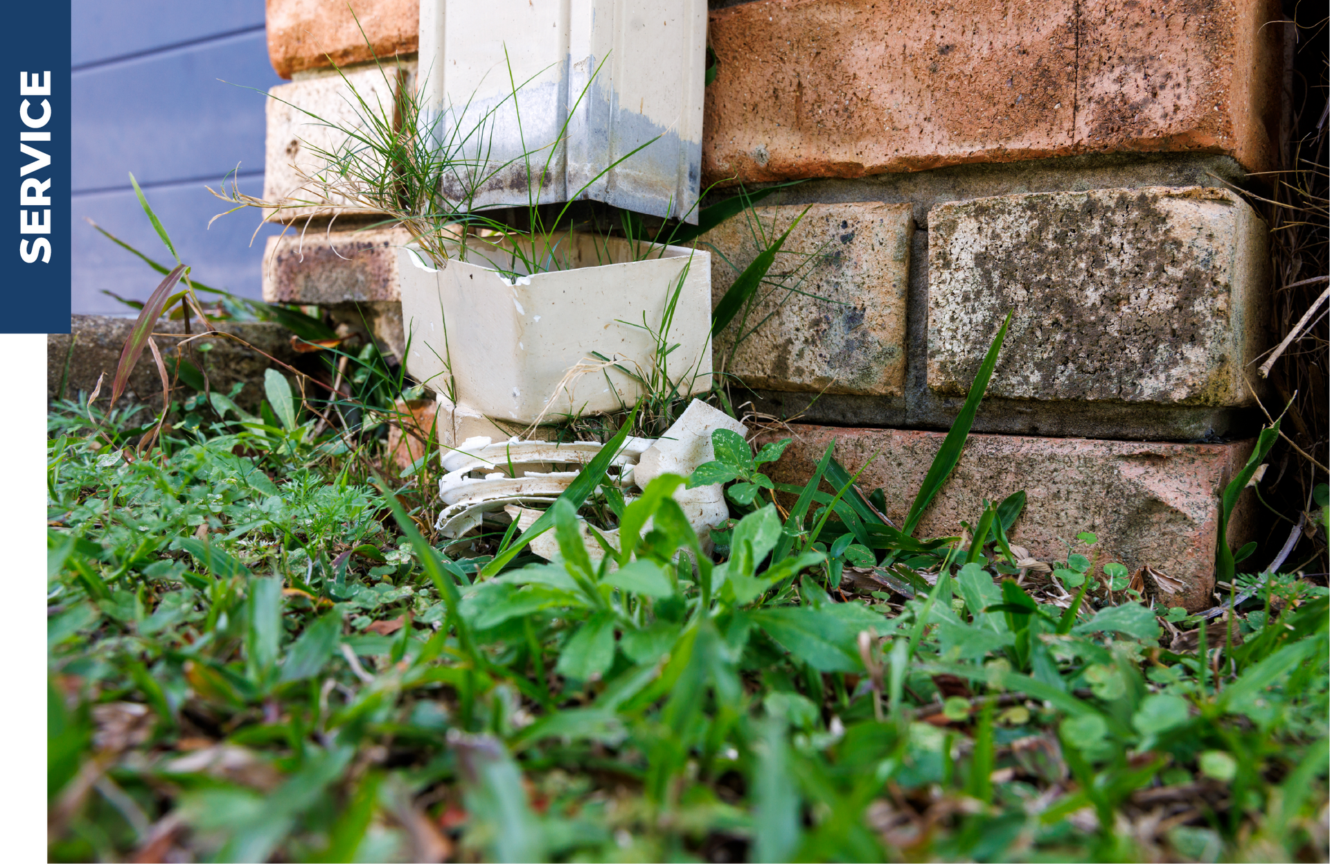 A close up of a brick wall with grass growing on it.