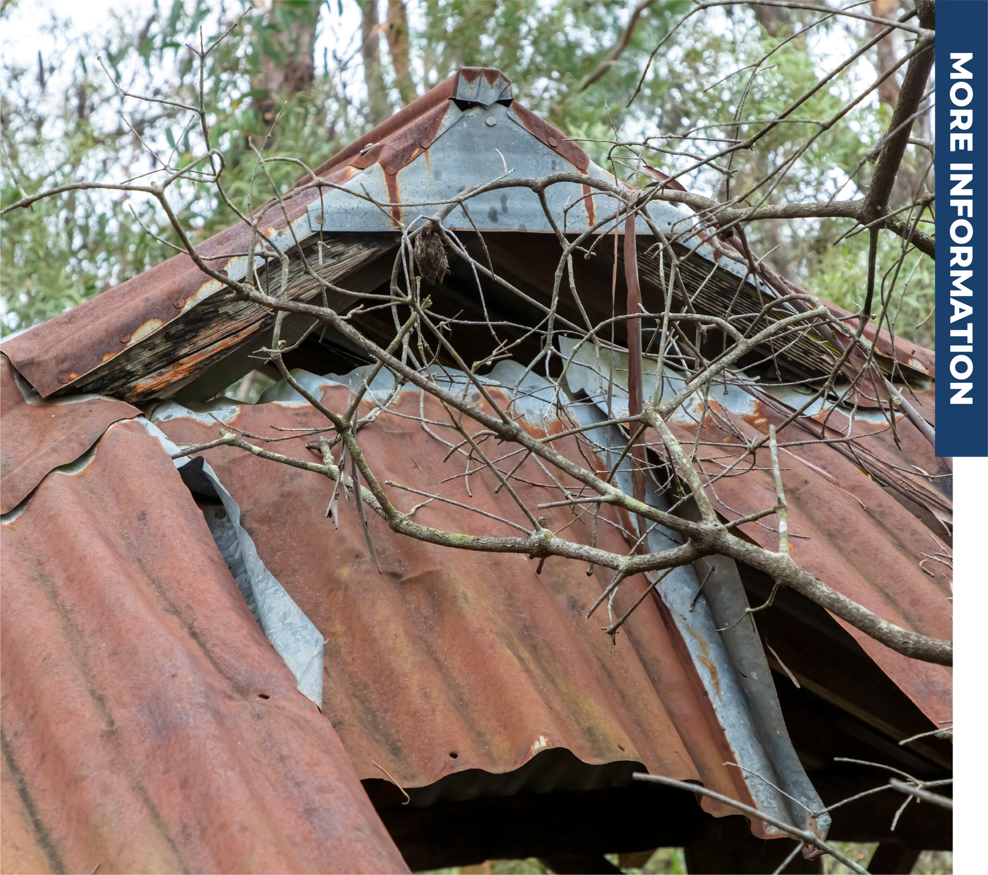 A rusty roof with a tree branch hanging off of it