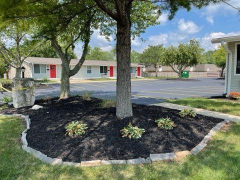 There is a tree in the middle of a garden in front of a house.