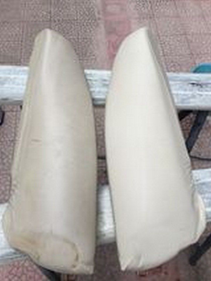 ripristino pelli sedili