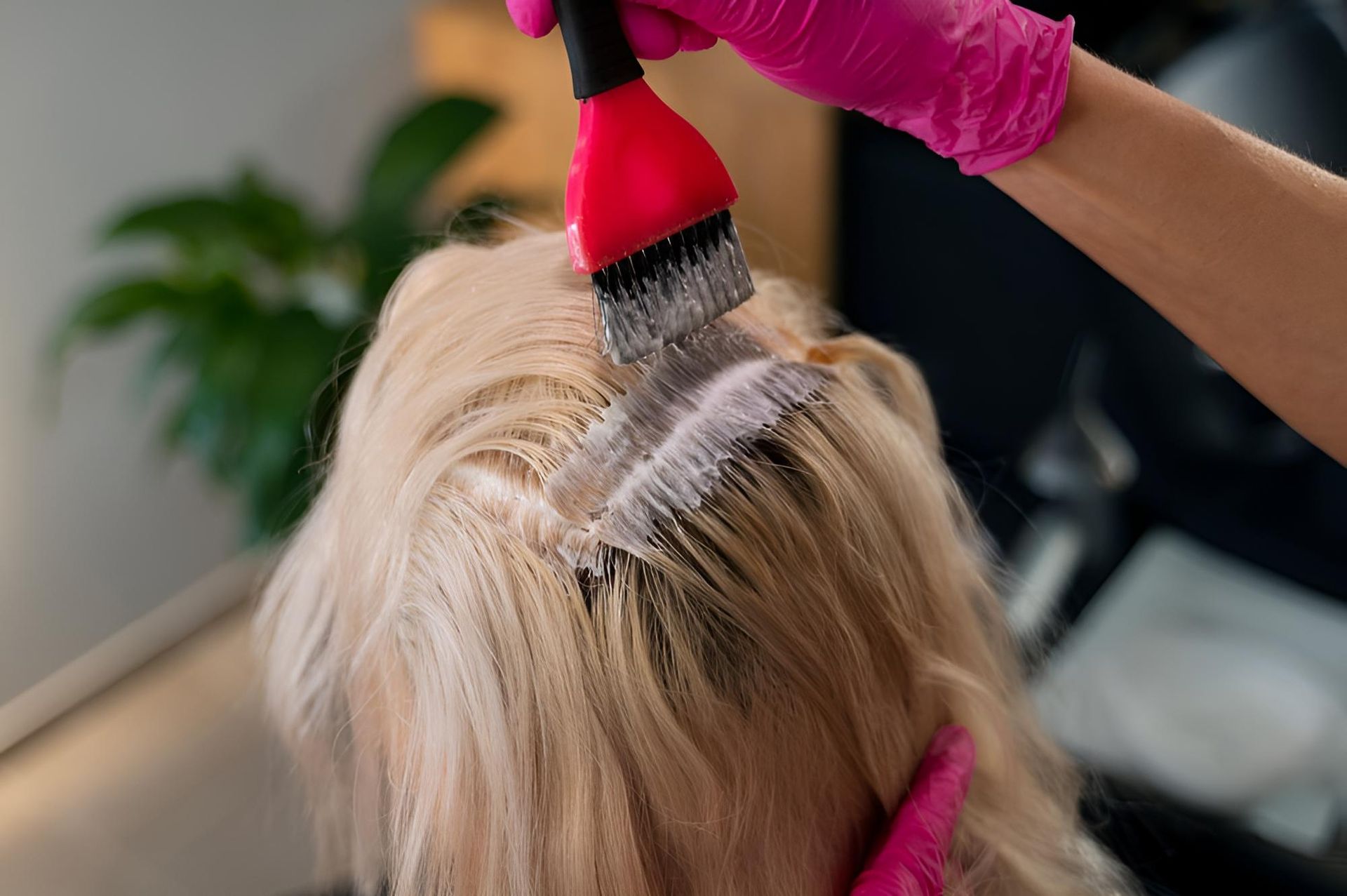 A Woman is Getting Her Hair Dyed in a Salon — Strut Hair & Beauty In Maroochydore, QLD