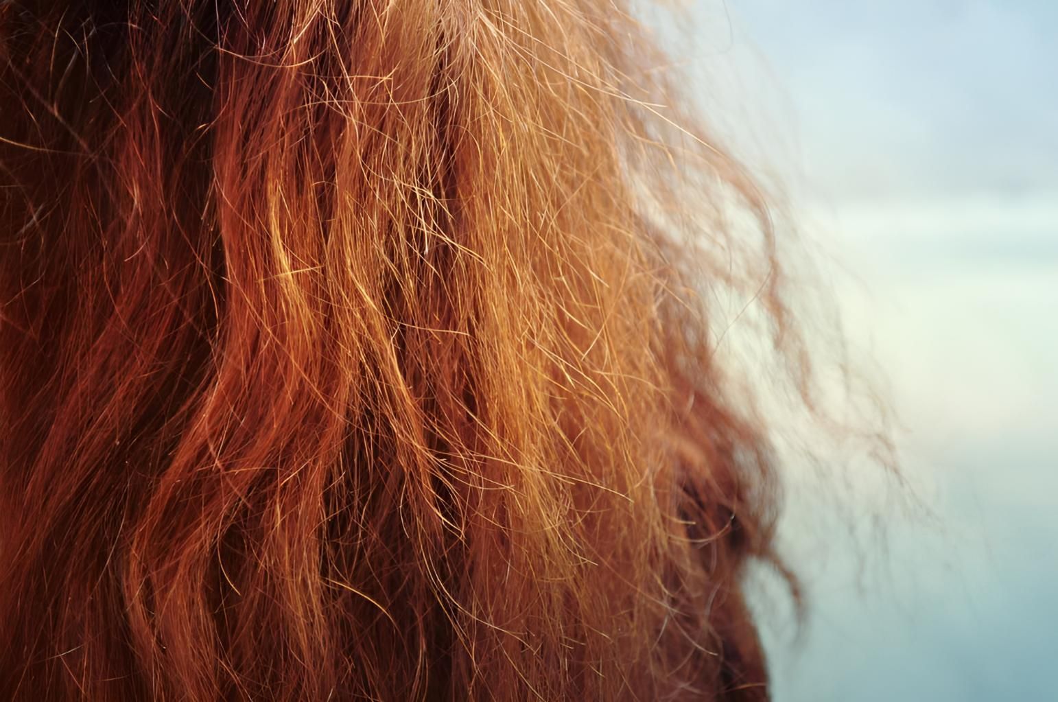 A Close Up of a Woman 's Red Hair Against a Blue Sky — Strut Hair & Beauty In Maroochydore, QLD