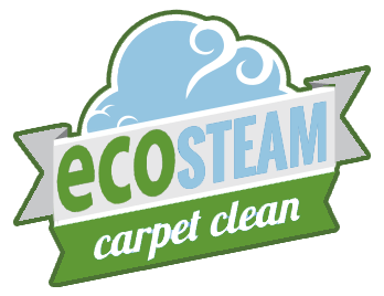 eco steam carpet cleaning houston texas