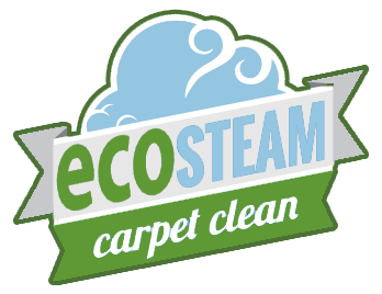 eco steam carpet cleaning San Diego California