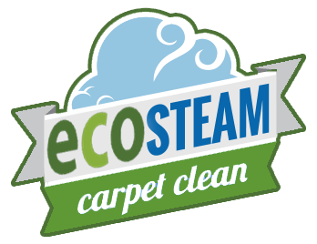 ecosteam carpet clean San Diego