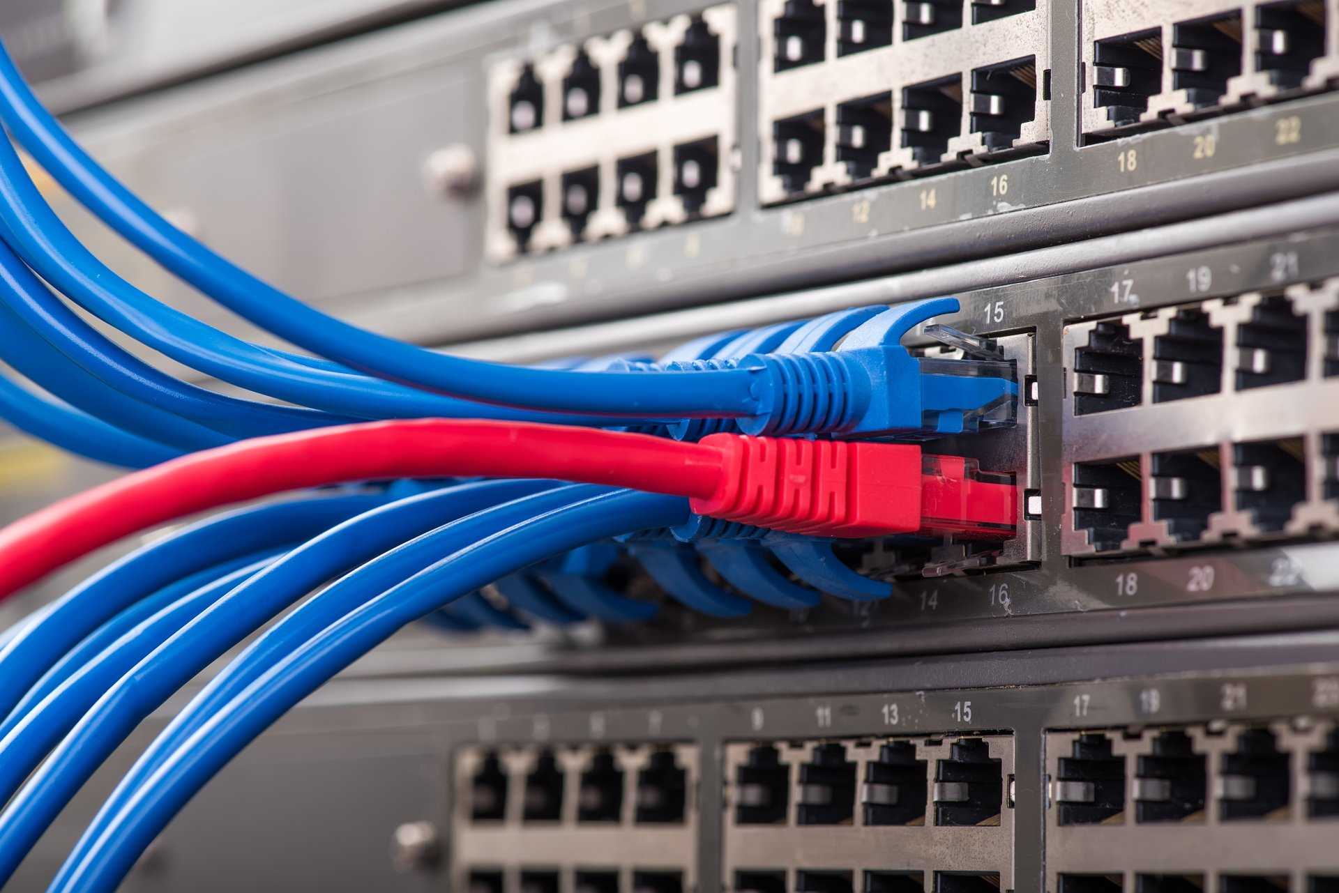 Red and blue lan cables — Networking & Wi-Fi in Forster NSW