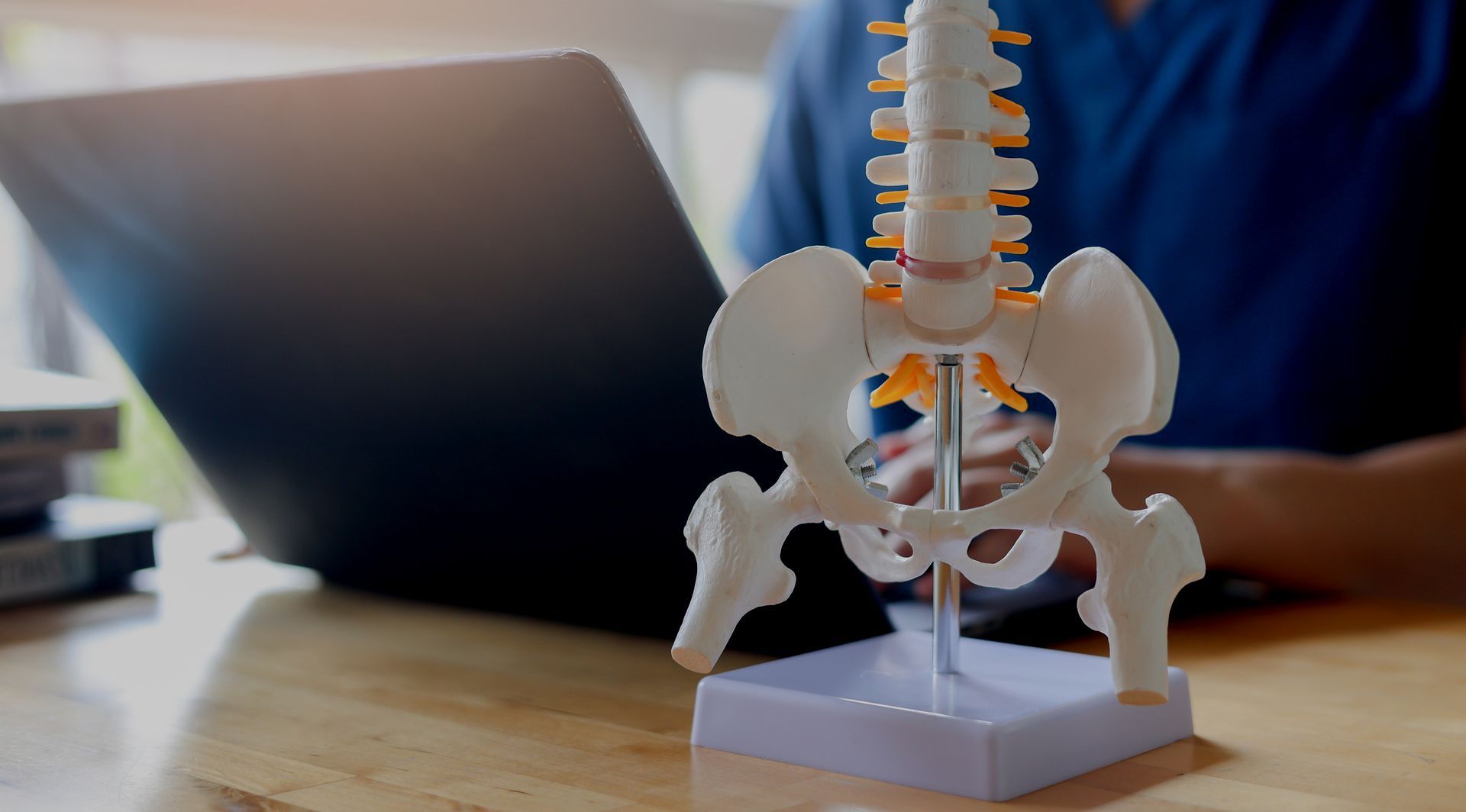 persona al computer con la statua di un bacino sulla scrivania