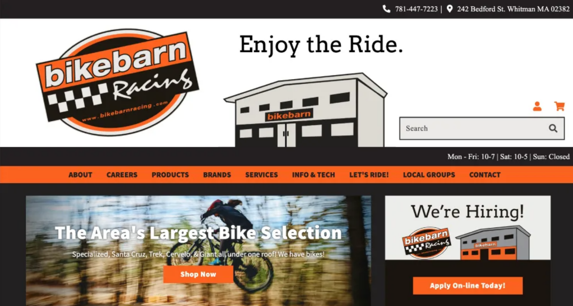 Custom website design