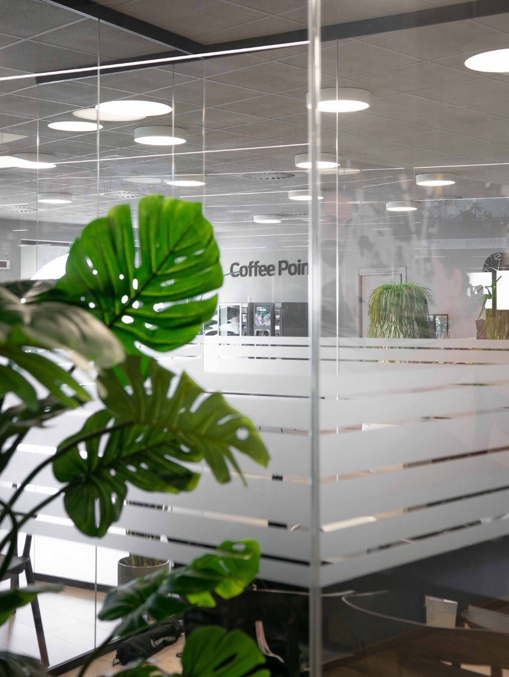 Una piscina con acqua blu e scale che conducono ad essa.