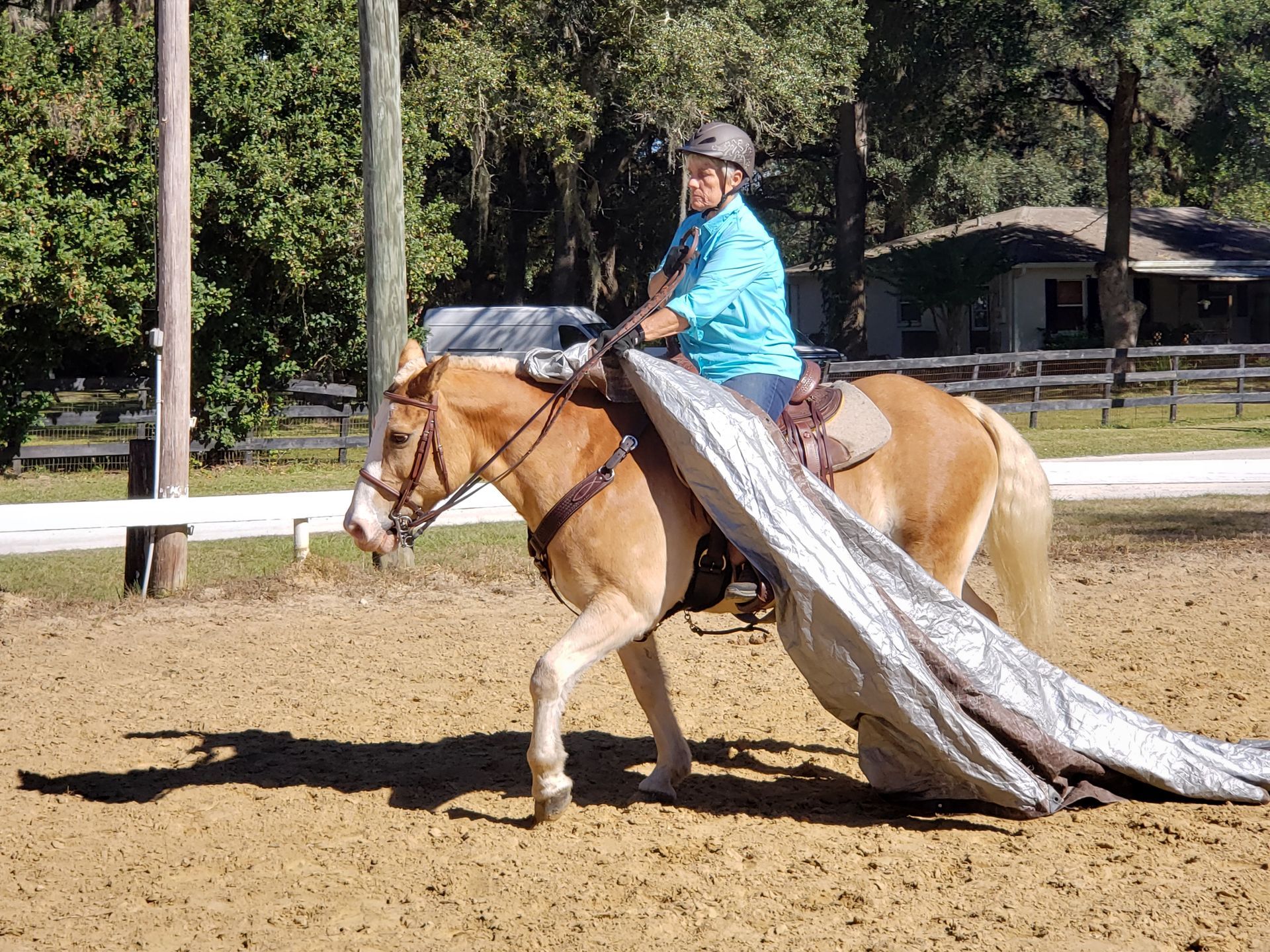 A dirt area with a white fence and trees in the background