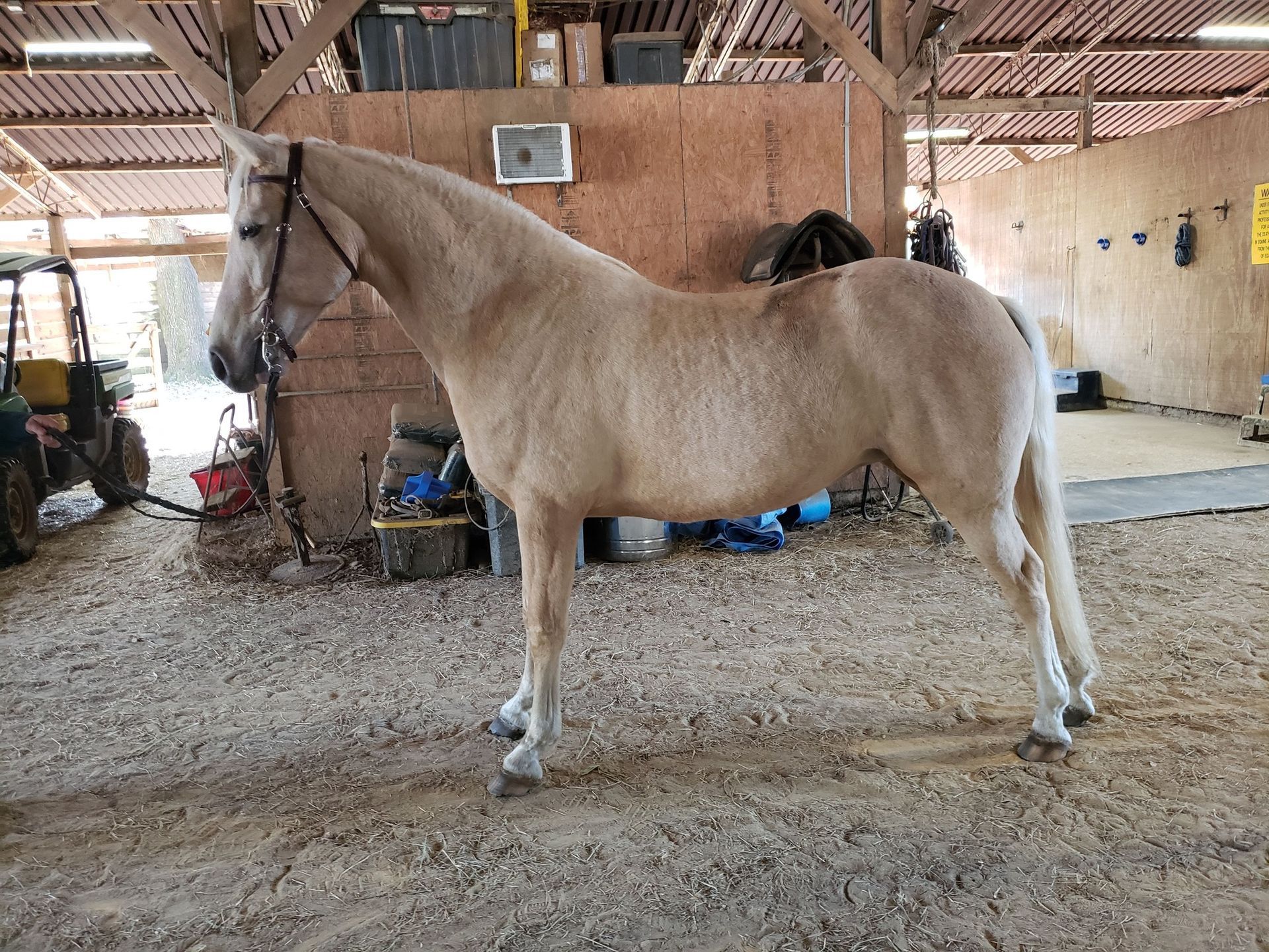 A group of people are riding horses in a barn.