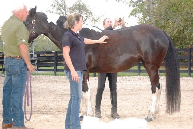 A group of people riding horses in a field