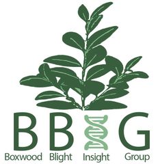 Boxwood Blight Insight Group