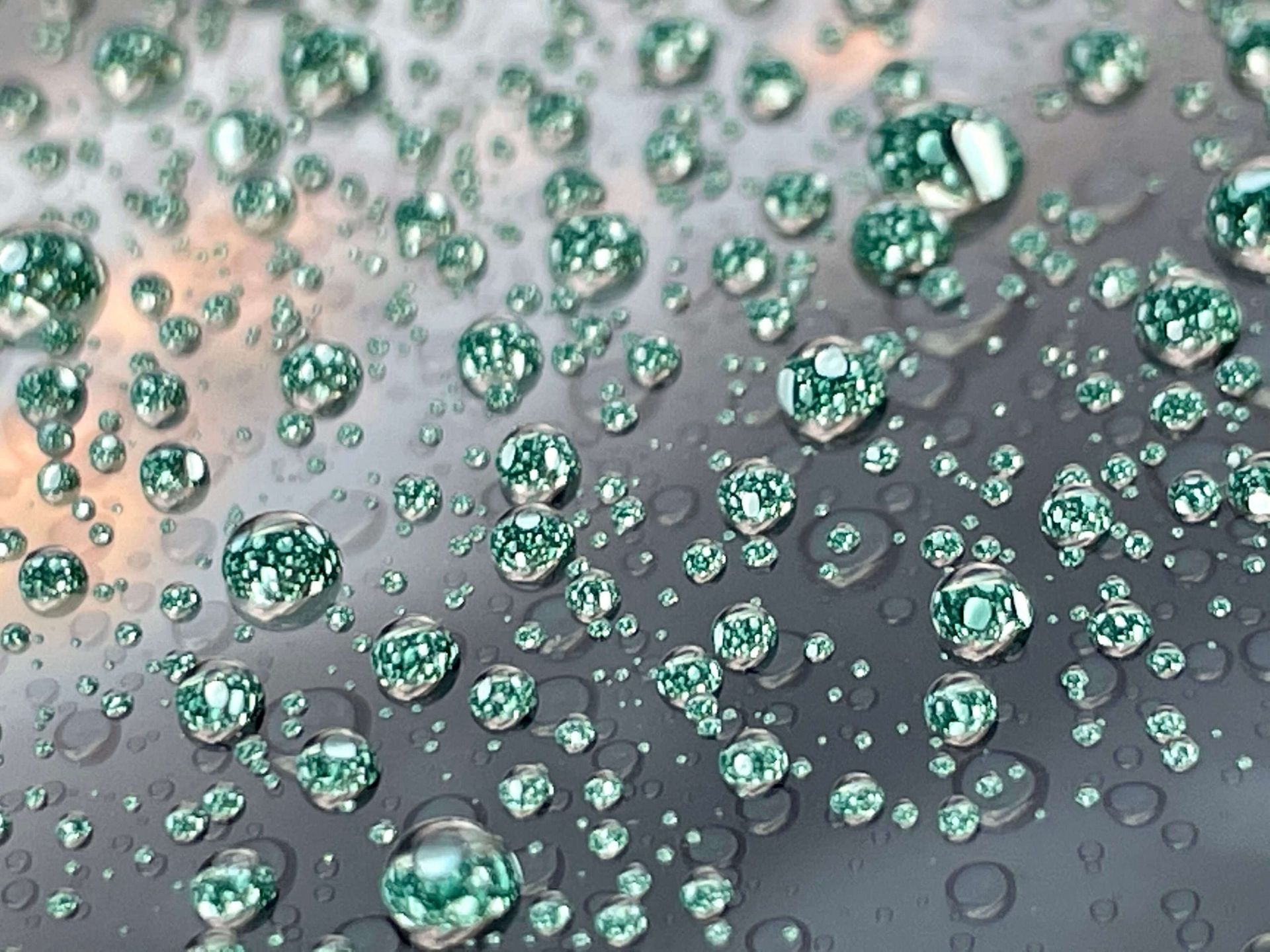 PAINT PROTECTION FILM