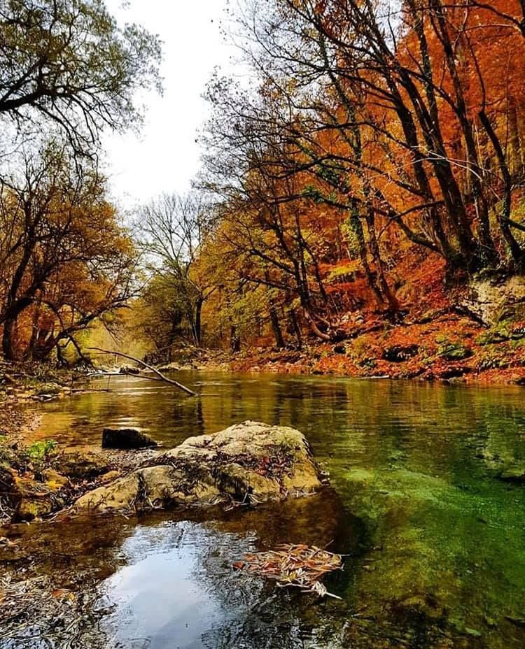 ALBERGO PENSIONE PAOLA Pescasseroli (AQ)