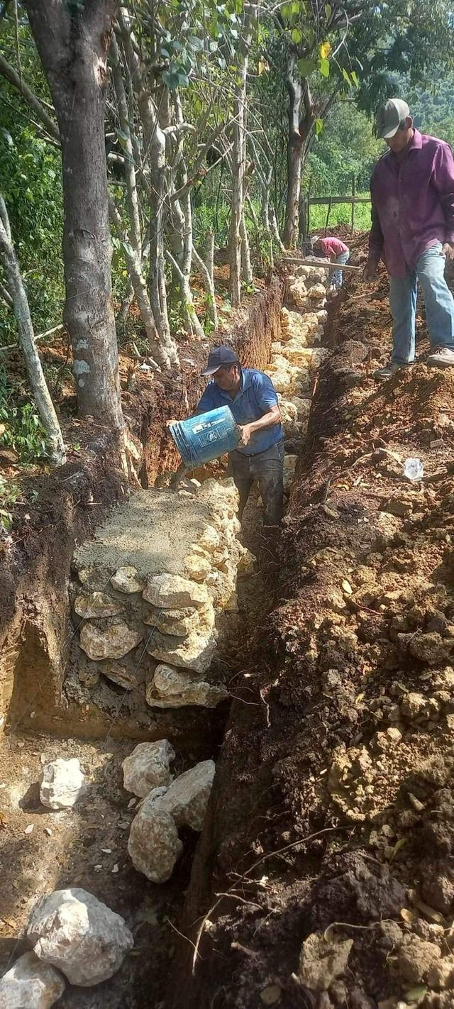 a man is standing in a pile of dirt next to a tree .